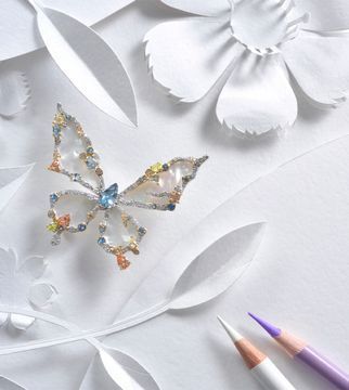 BUTTERFLY